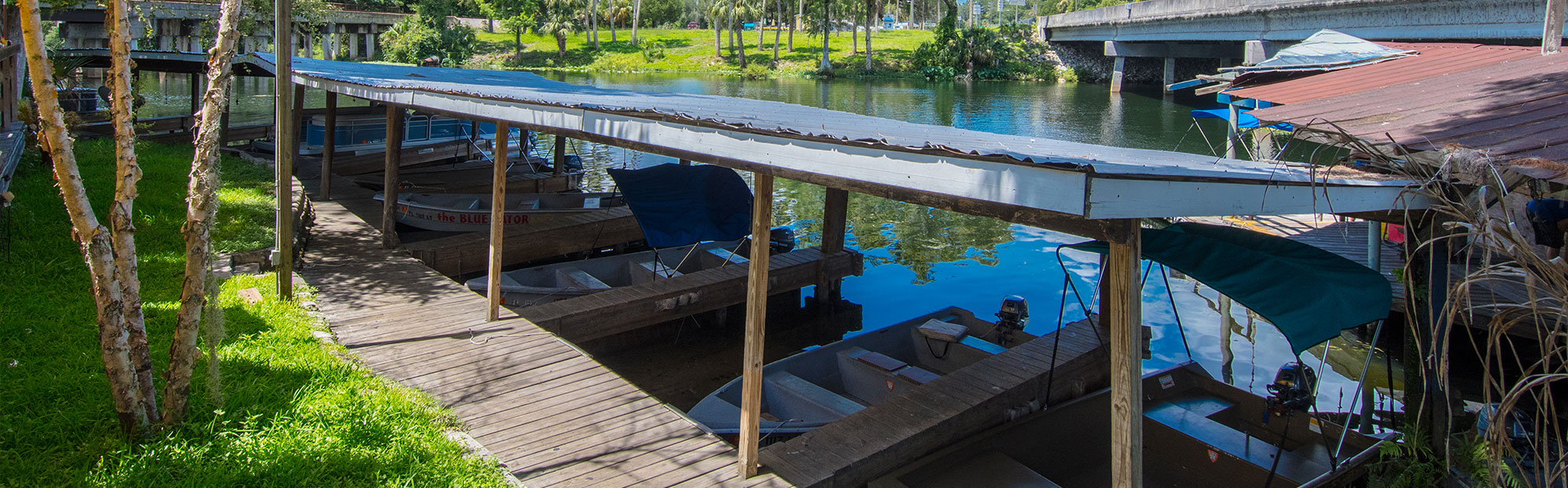 Blue Gator Tiki Bar & Restaurant in Dunnellon, FL (3)