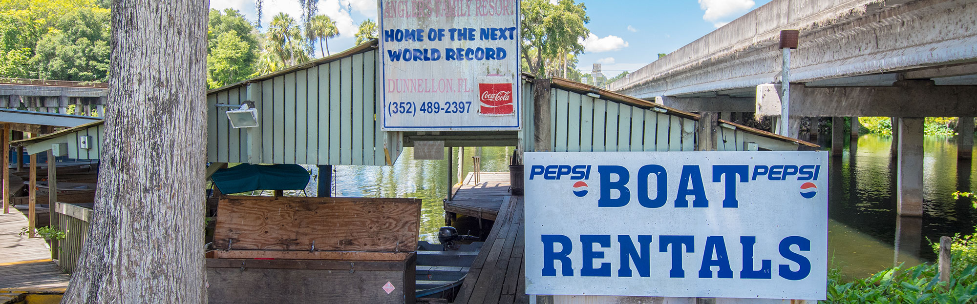 Blue Gator Tiki Bar & Restaurant in Dunnellon, FL (4)