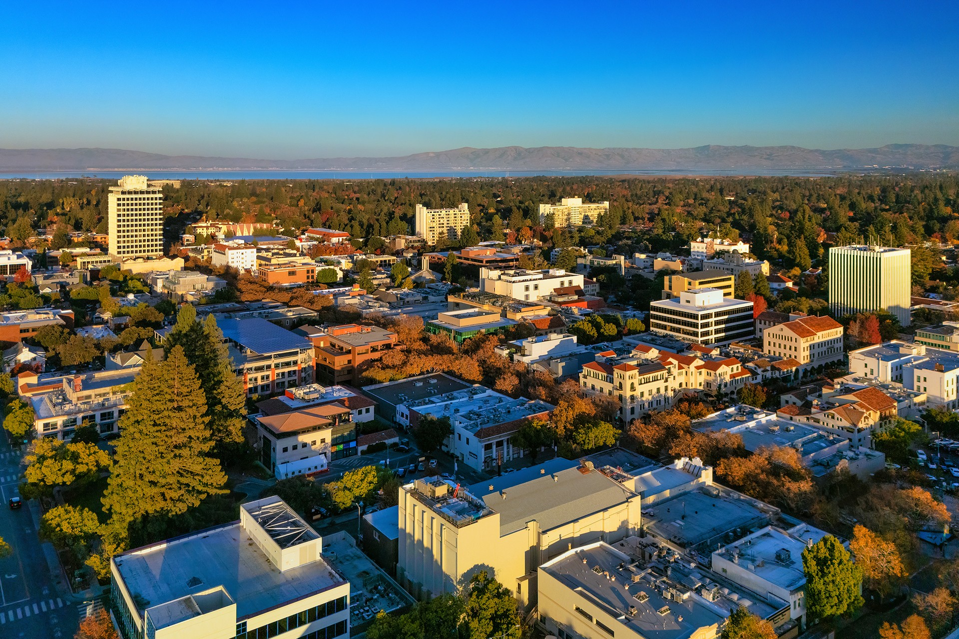 Sophie Tsang | Compass | DRE# 01399145 - Palo Alto in Palo Alto, CA (2)