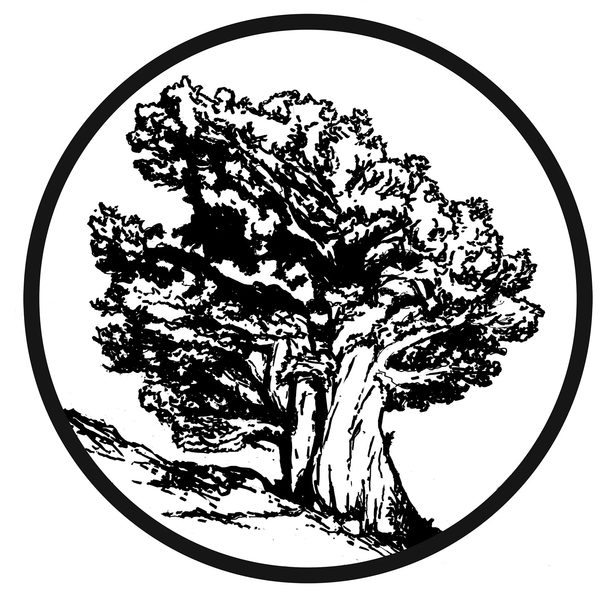 Juniper Tax & Bookkeeping in Bishop, CA (2)