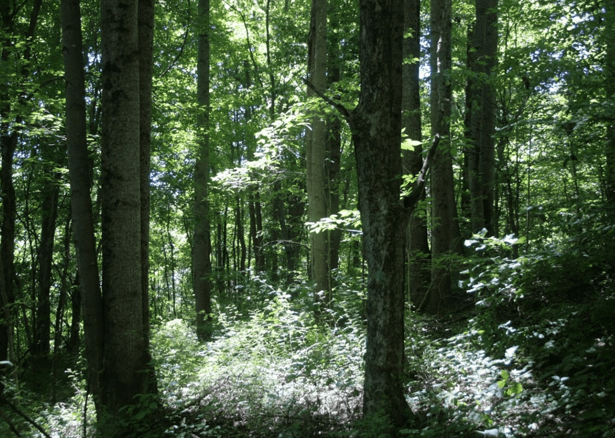 Lost River Hostel in West Baden Springs, IN (4)