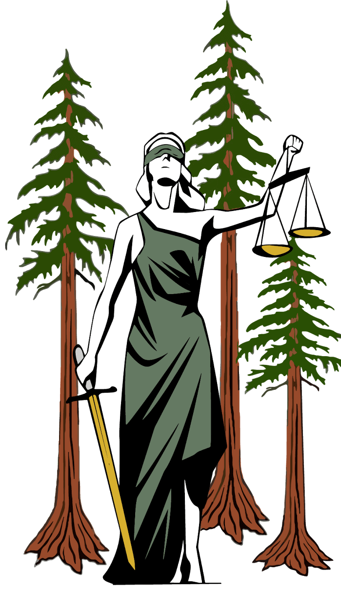 RLS Process Serving & Court Filing in Eureka, CA