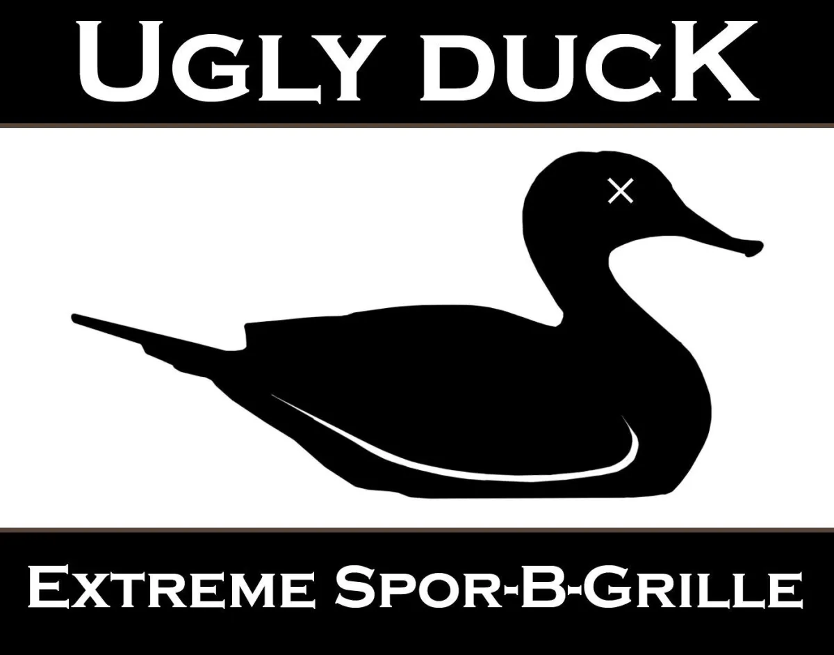 Ugly Duck in Wooster, OH (6)