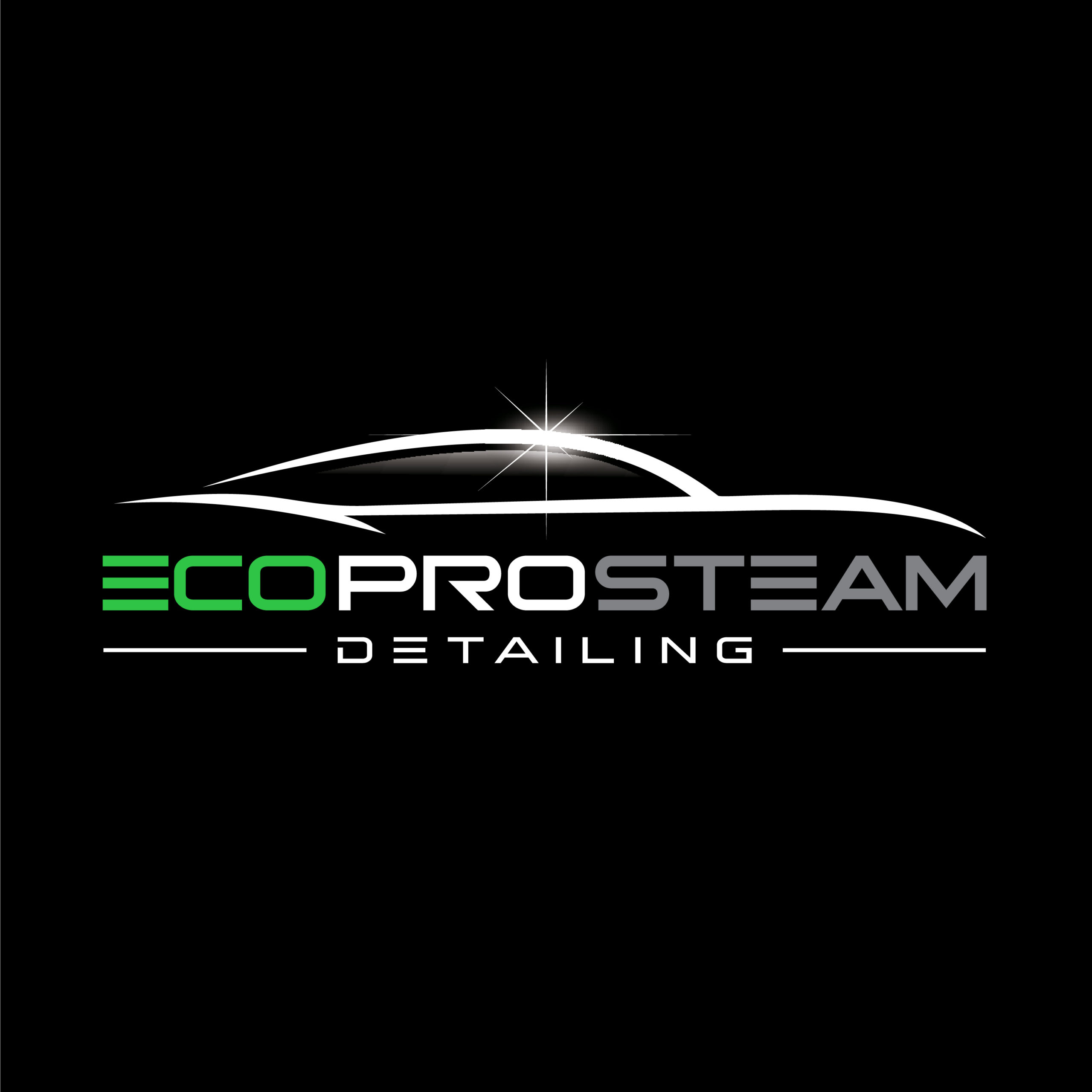 Eco Pro Steam Detailing in Painesville, OH