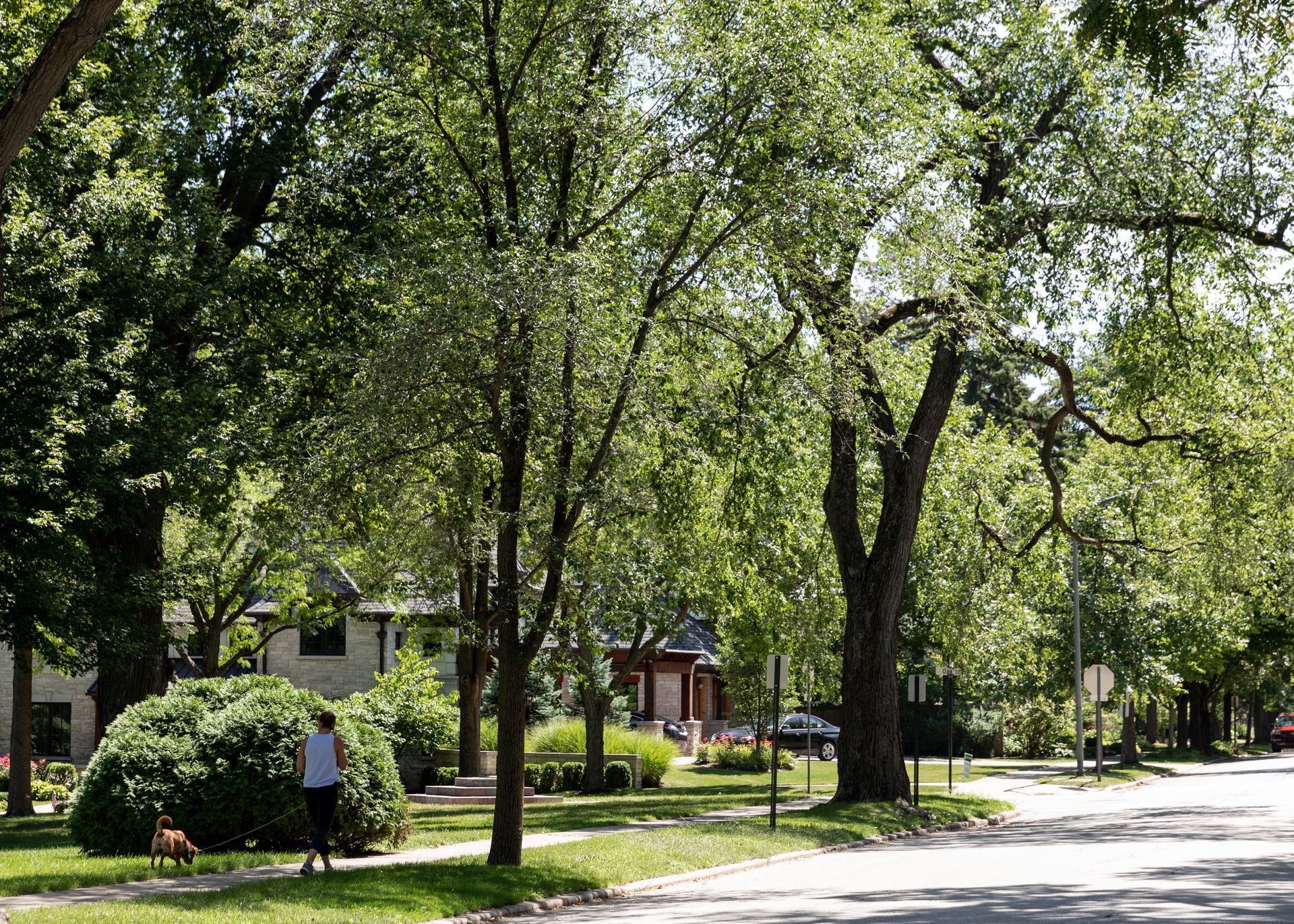 Lisa Schulkin Real Estate in Highland Park, IL