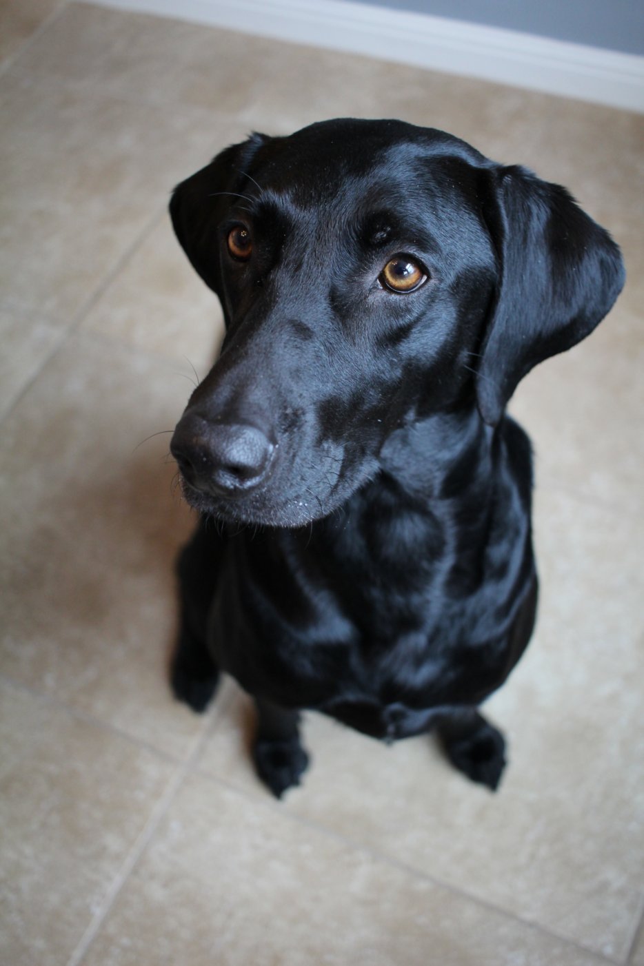 Sweet Charli Girl in Austin, TX (6)