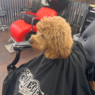 The Backroom Barbershop in Jacksonville, NC (5)