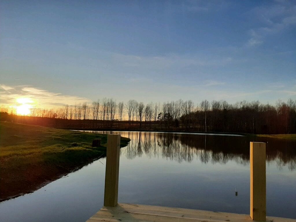 Seven Springs Farm and Vineyard in Norlina, NC (6)