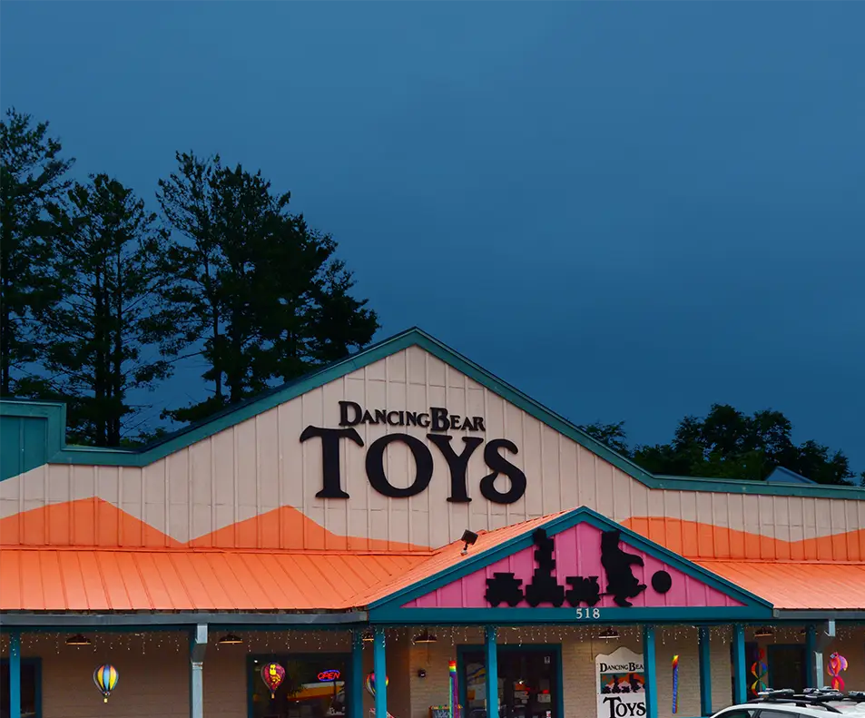Dancing Bear Toys in Asheville, NC (3)