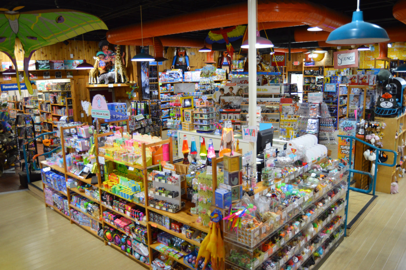Dancing Bear Toys in Asheville, NC (4)