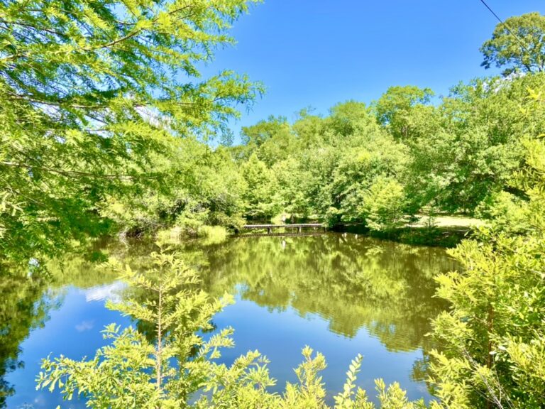 Setha Ponce | RE/MAX Lake Livingston in Woodville, TX (3)
