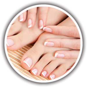 Nail Shop in Port Richey, FL (2)