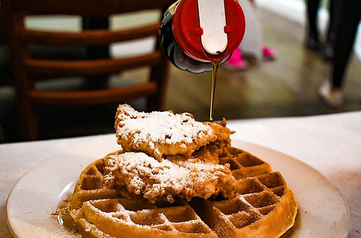 Herschel's Scratch Kitchen in New Port Richey, FL (4)