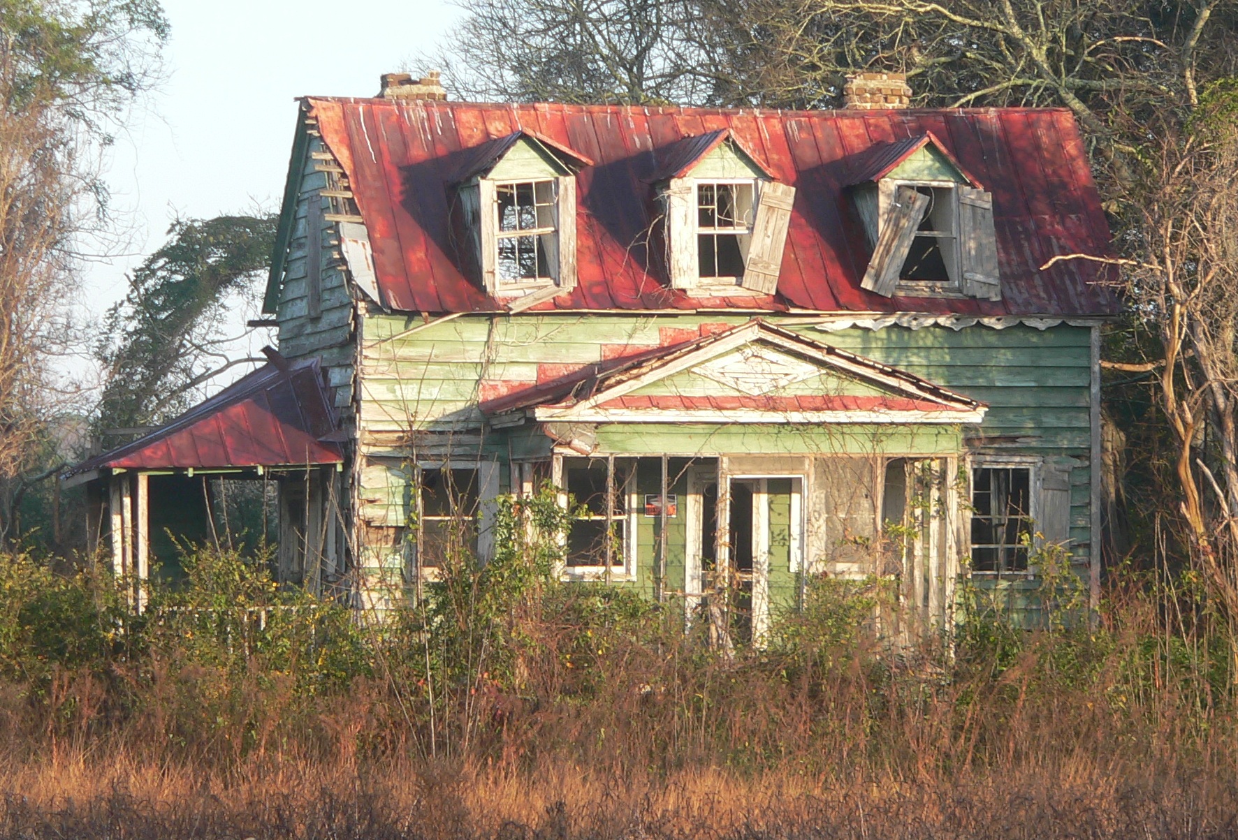 Jane Szorc - Real Estate Specialist in Edisto Island, SC (6)