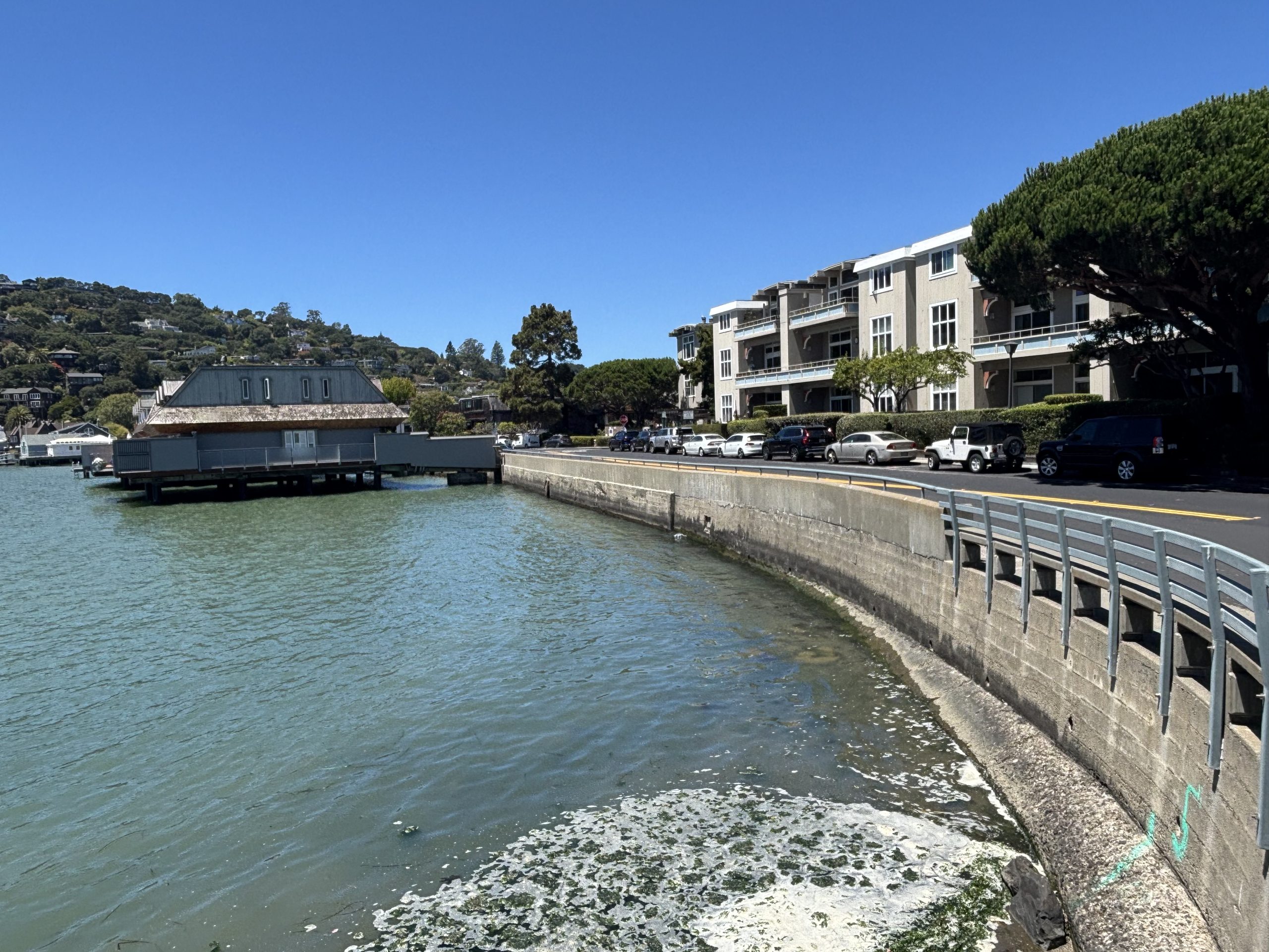 Belvedere in Belvedere Tiburon, CA (2)