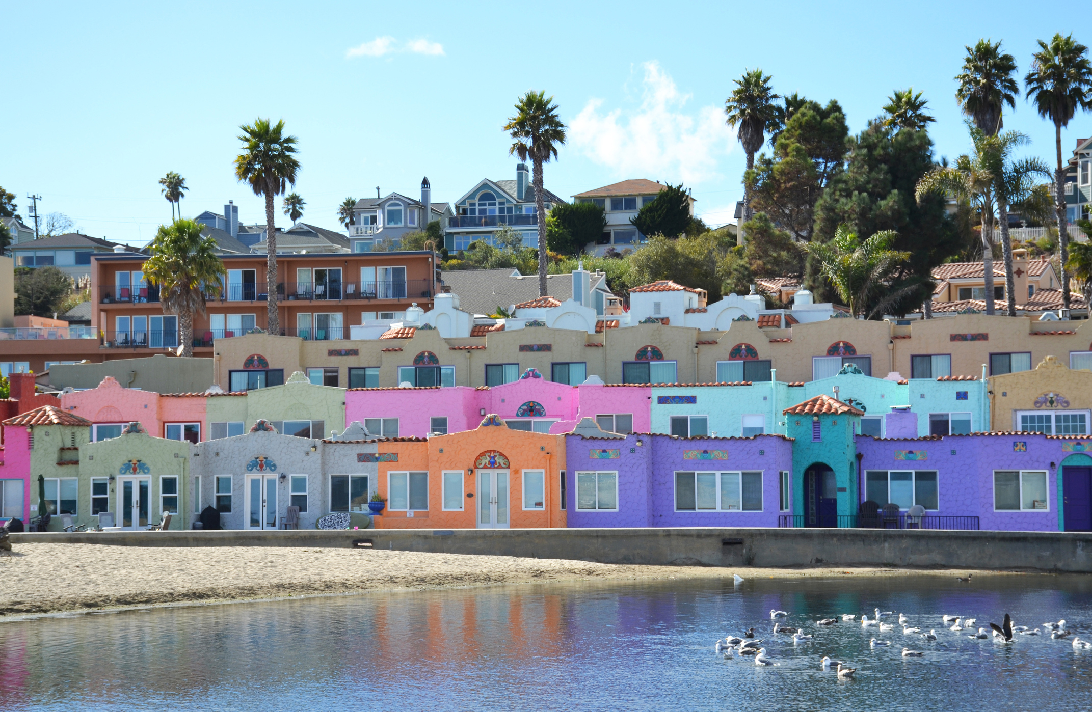 Kimberly Ward | Surf City Estates Group | COMPASS in Capitola, CA (6)