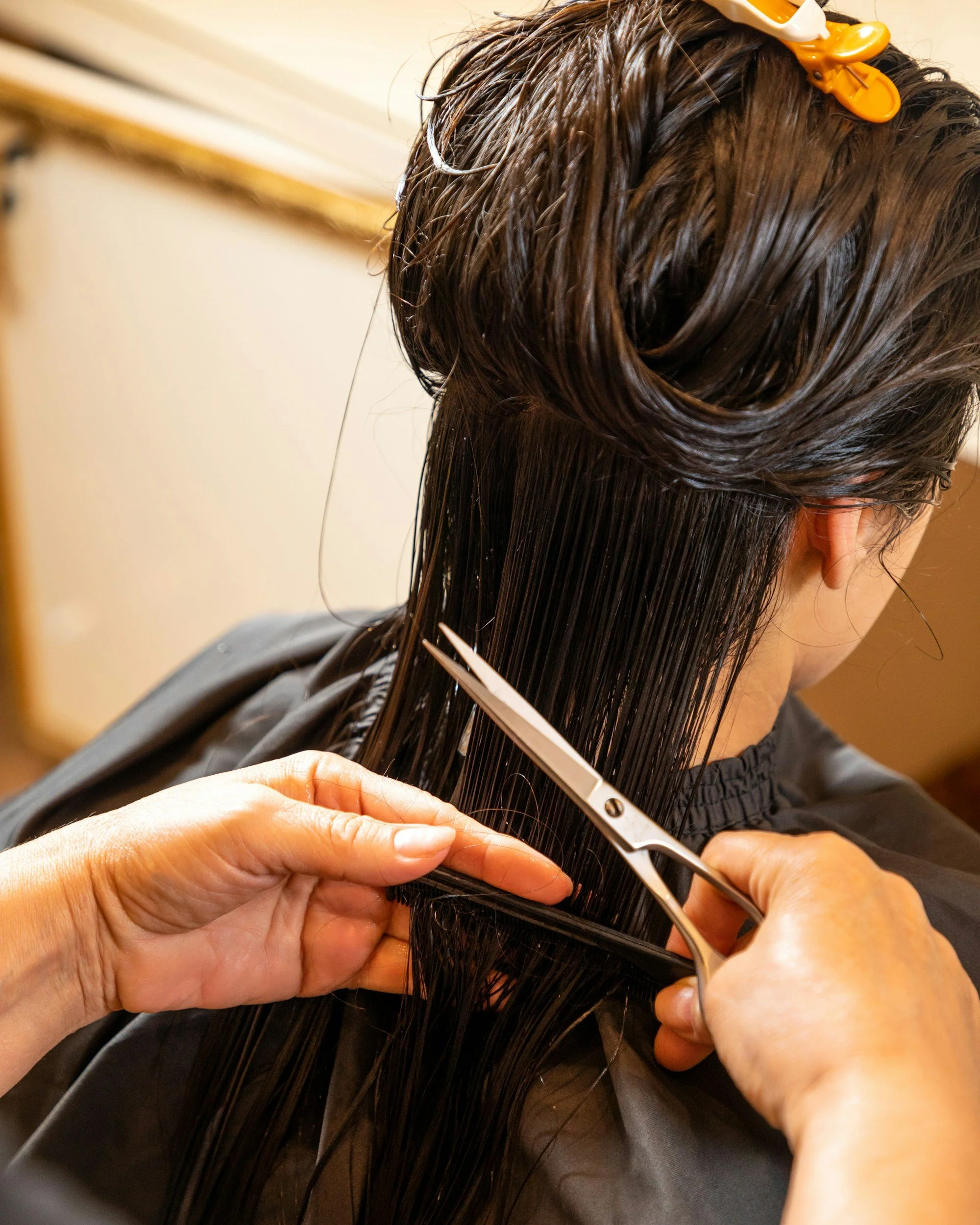 BlueBird Salon LLC in Port Washington, WI (3)