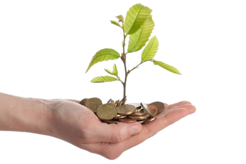 Brown CPA Group Ltd in Northbrook, IL