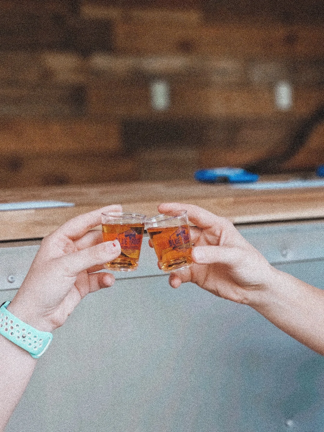 Blue Truck Mobile Bar in Whitesburg, GA (4)