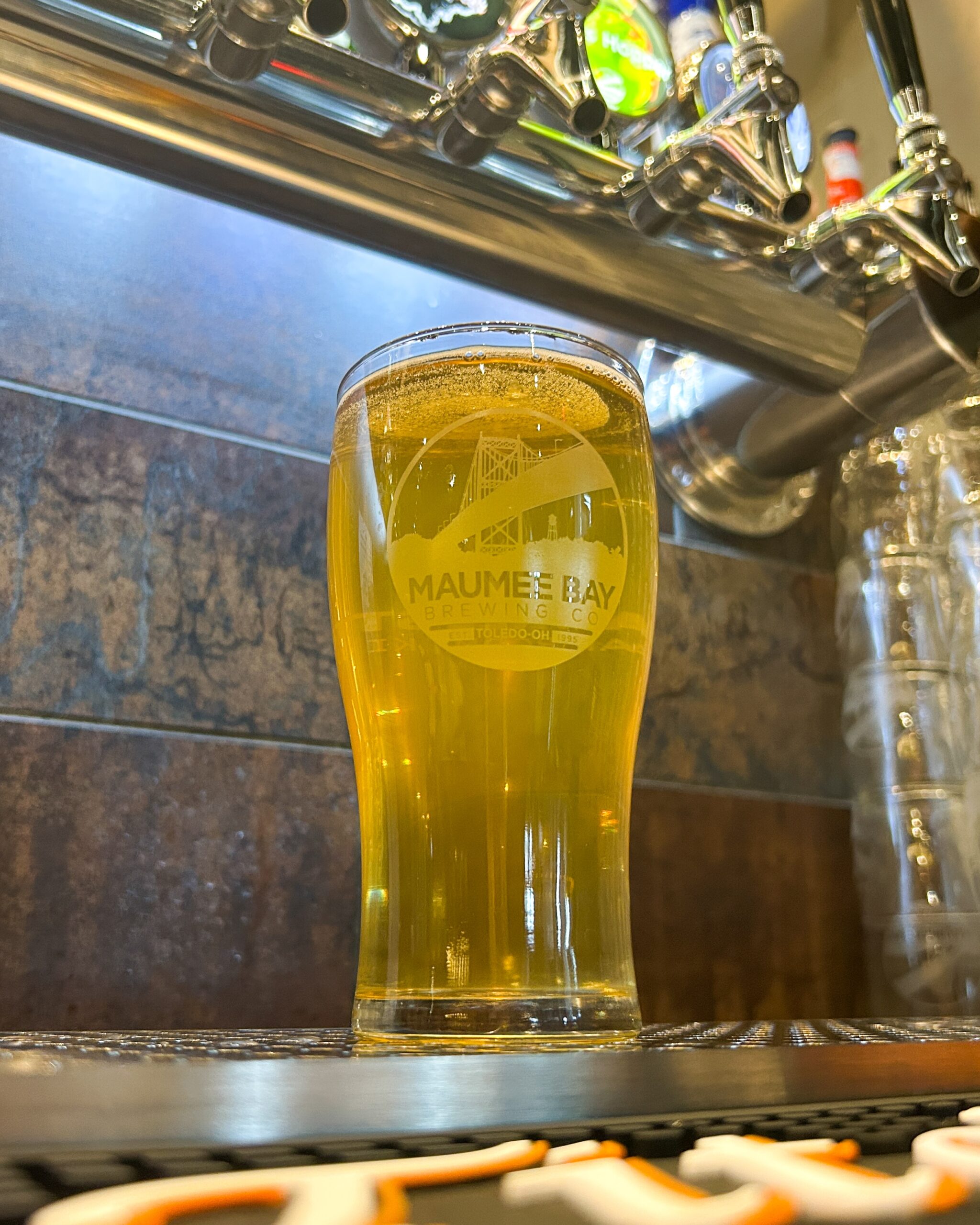 Shawnee Station Taproom & Kitchen in Shawnee Hills, OH (6)