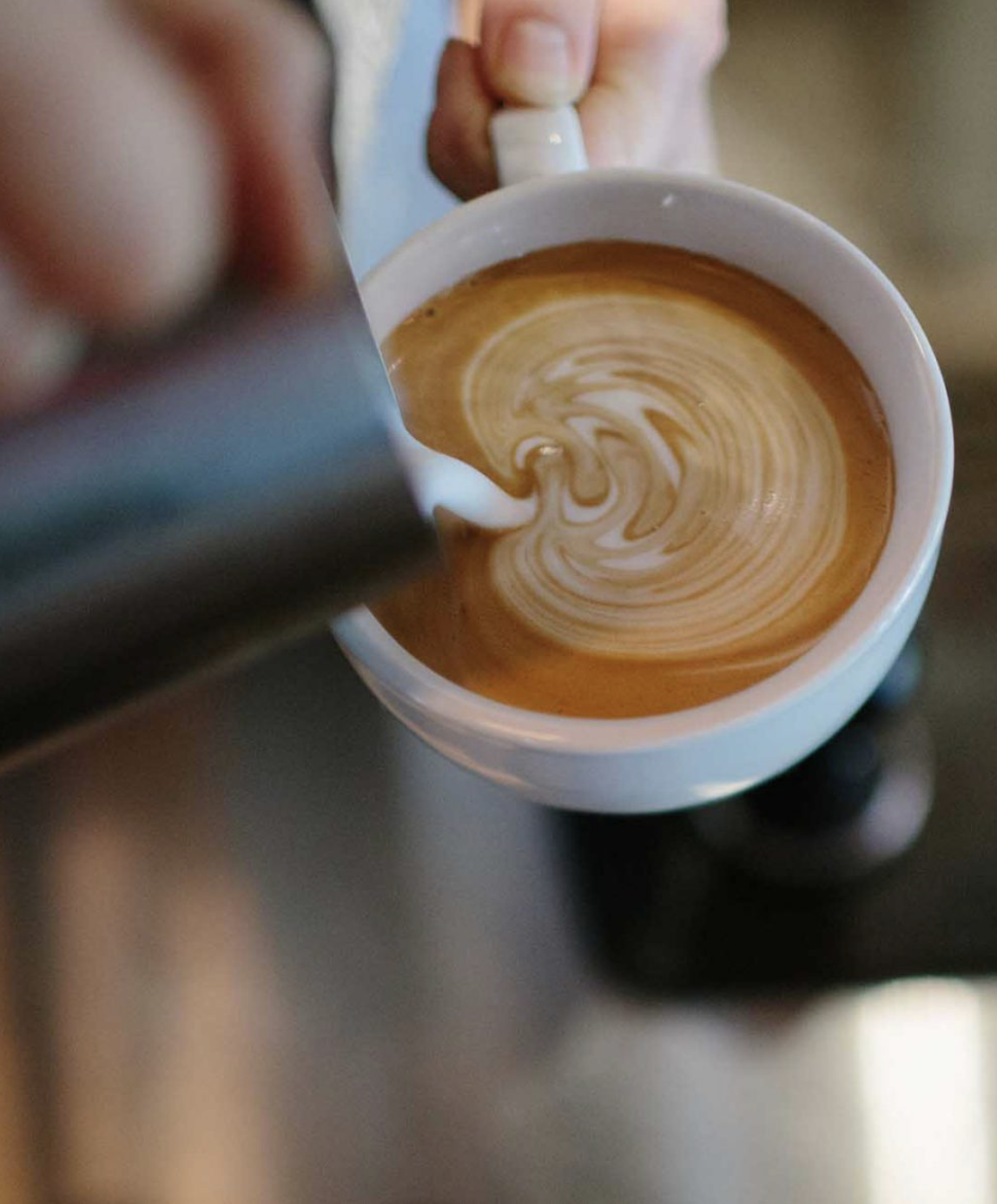 Subculture Coffee in West Palm Beach, FL (3)