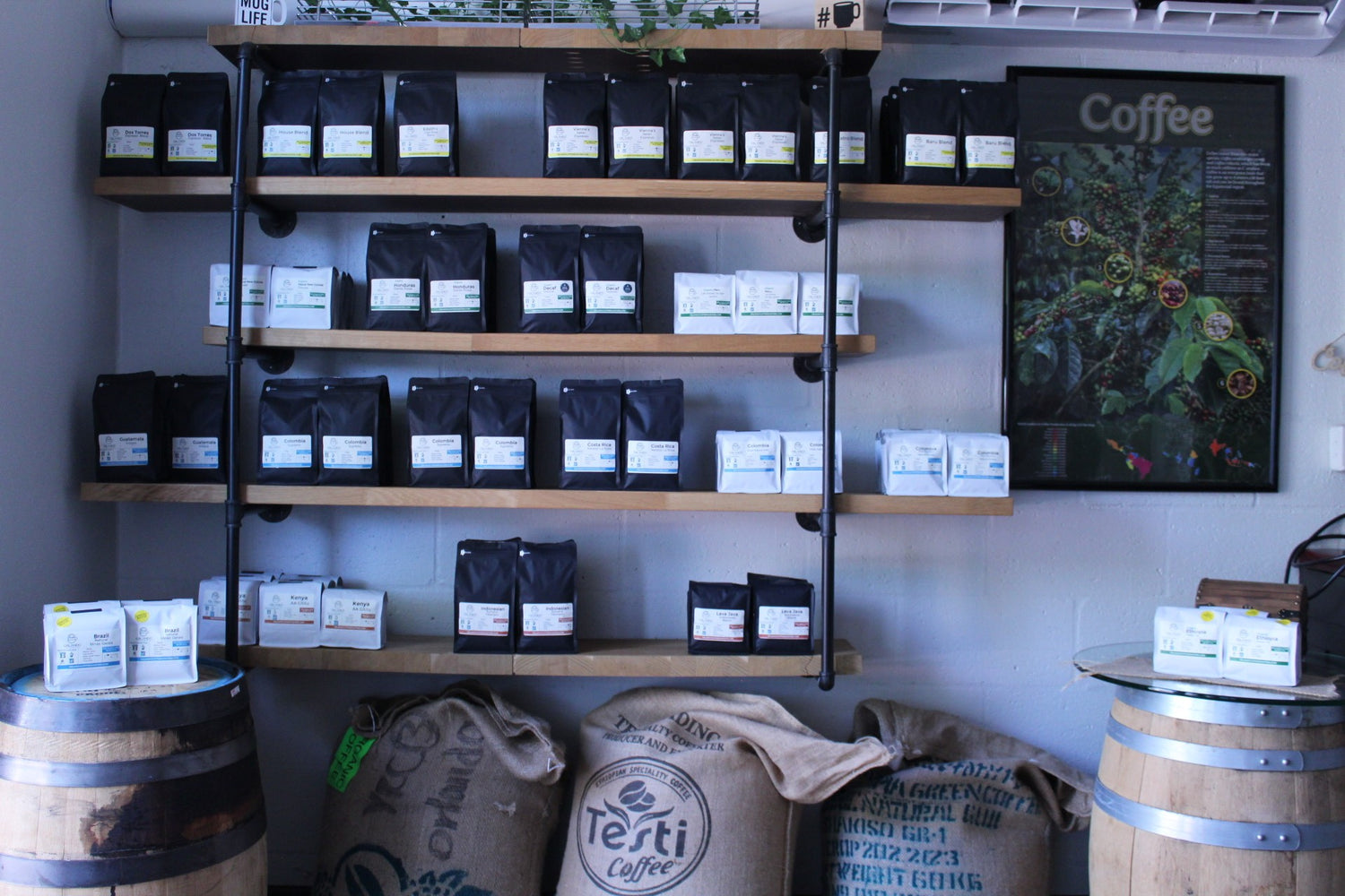 Orlando Coffee Roasters in Orlando, FL (5)