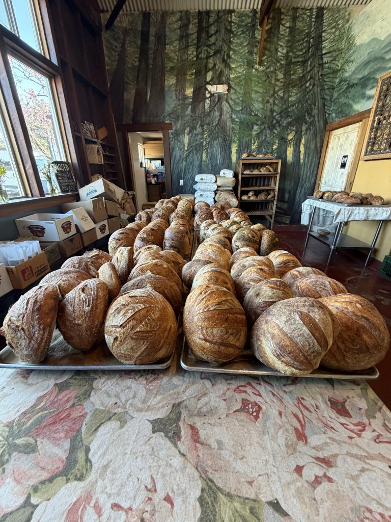 Wild Flour Bread in Freestone, CA (3)