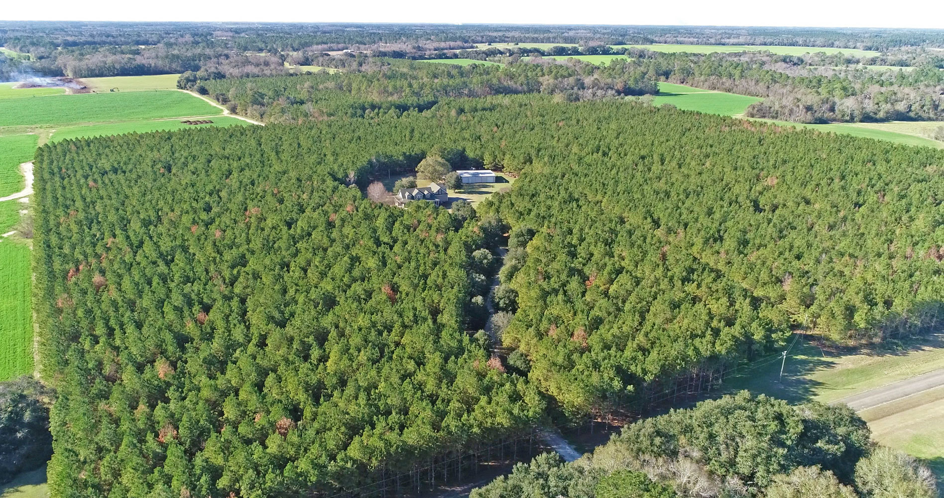 Leslie Bennett — #1 Real Estate Agent in Thomasville GA in Thomasville, GA