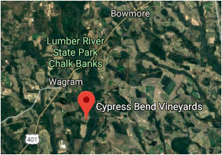 Cypress Bend Vineyards Inc in Wagram, NC