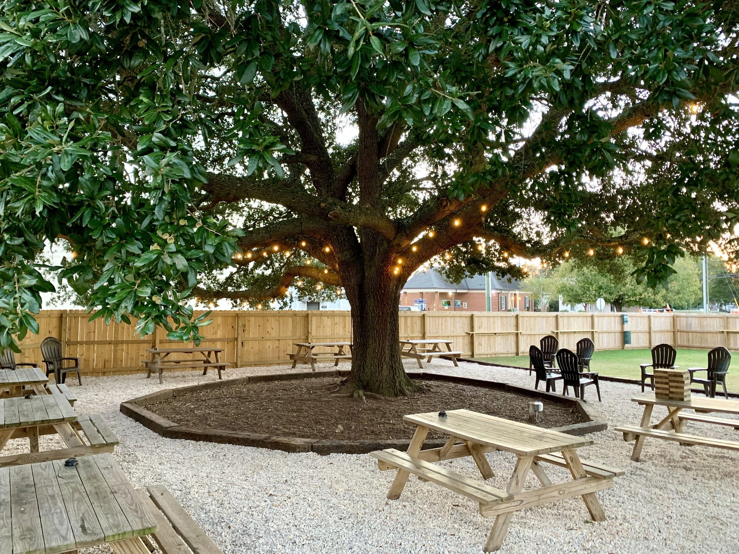 Local Oak Brewing Co. in Winterville, NC (2)