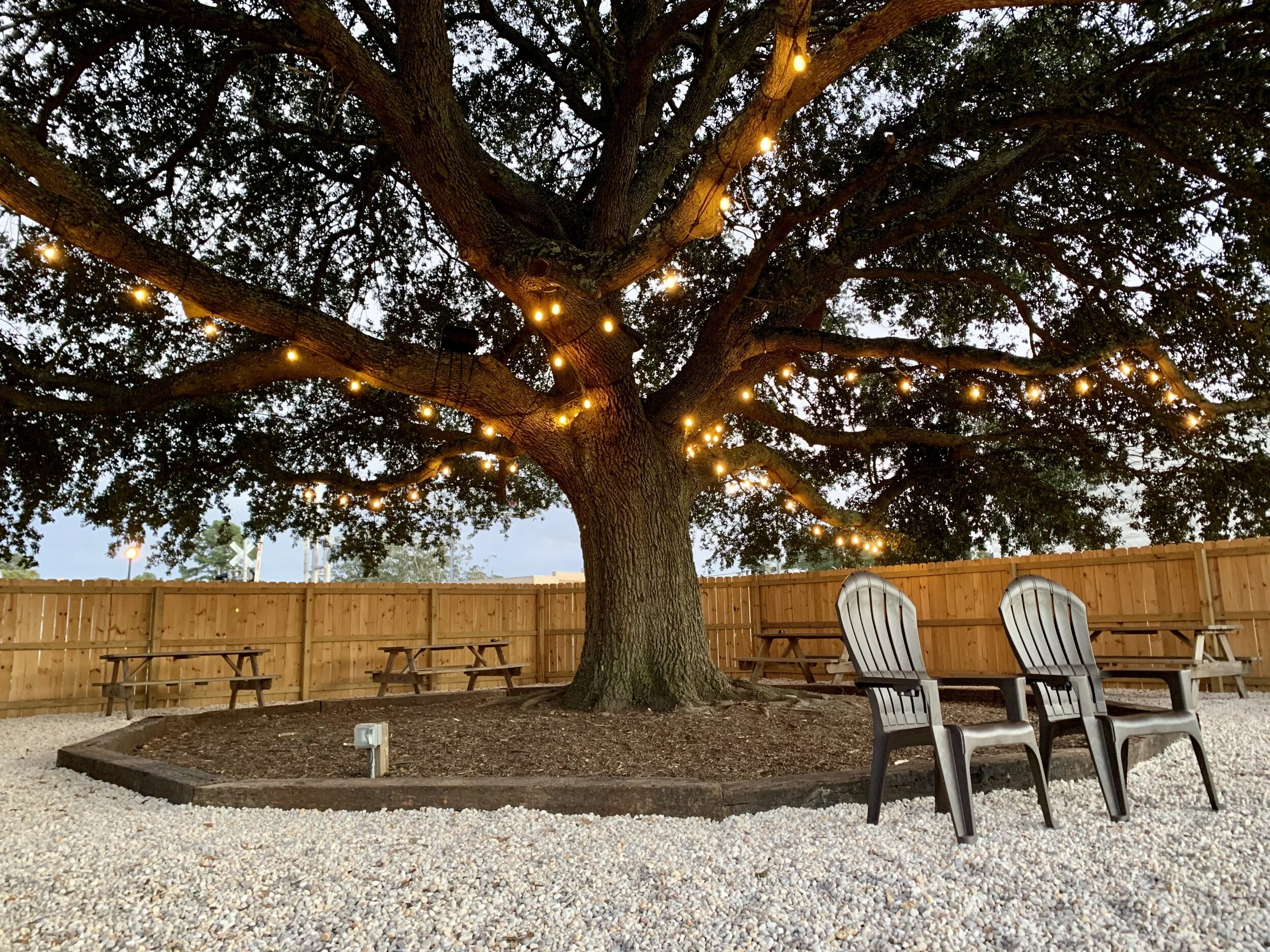 Local Oak Brewing Co. in Winterville, NC (3)