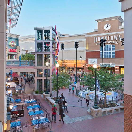 Donna Kerr Group in Silver Spring, MD (5)