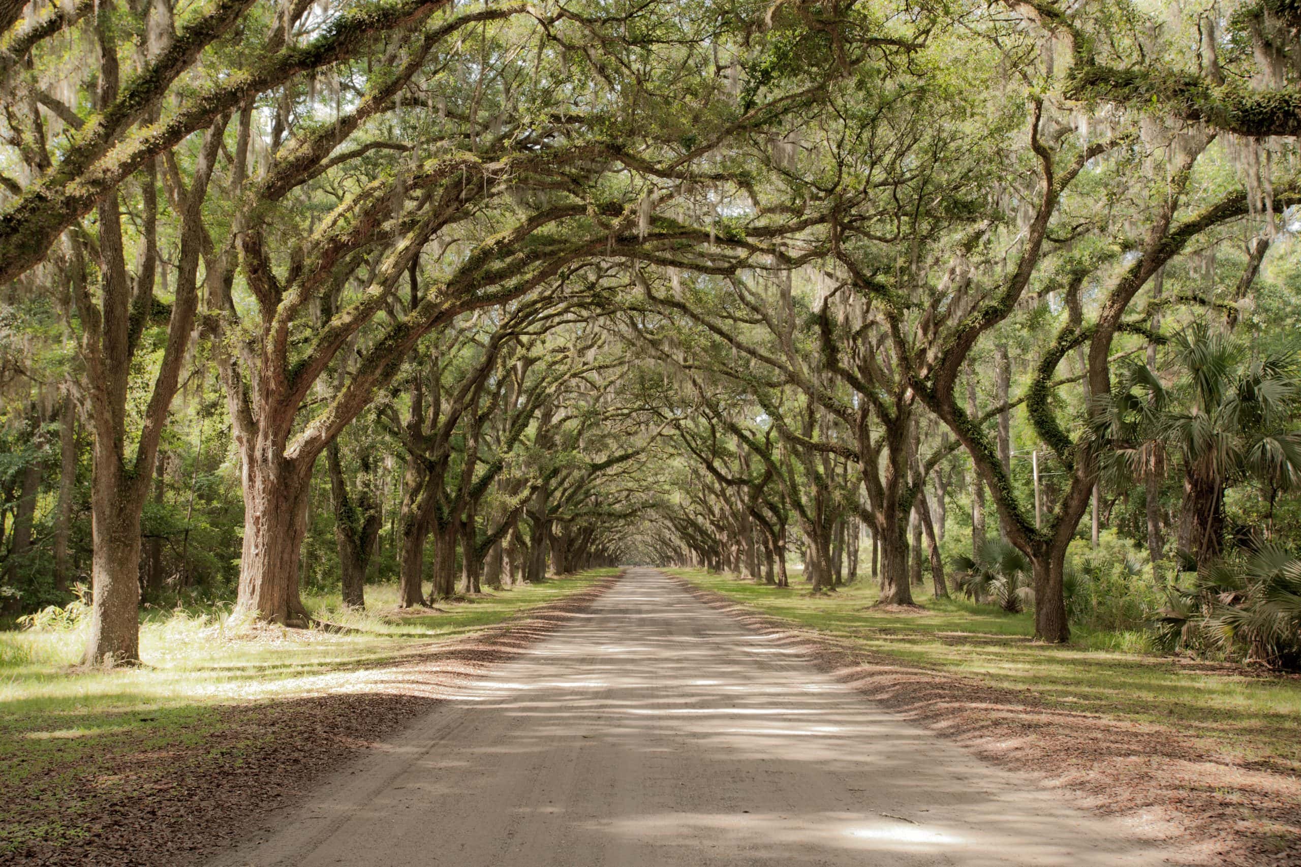 Carter Group in Jesup, GA