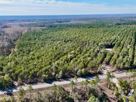Carter Group in Jesup, GA (2)