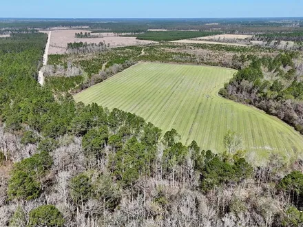 Carter Group in Jesup, GA (3)