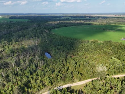 Carter Group in Jesup, GA (5)