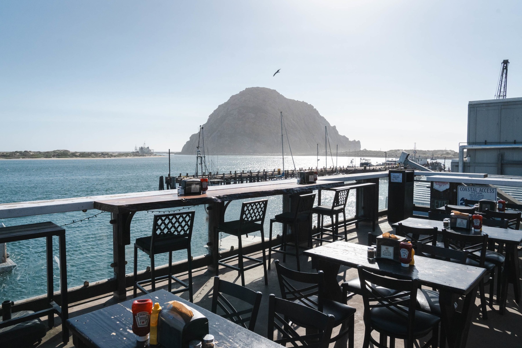 Morro Grill in Morro Bay, CA
