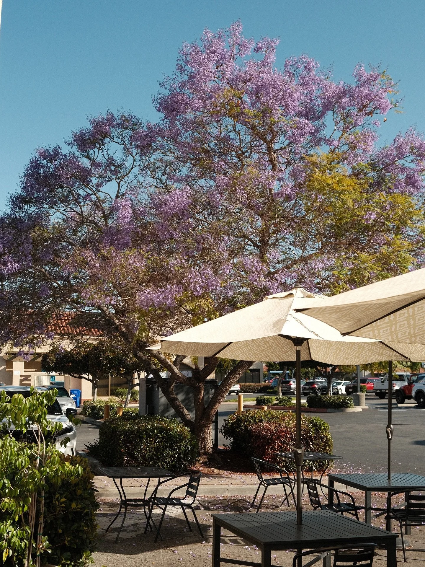 O'side Bakery in Oceanside, CA