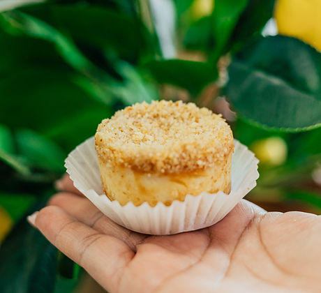 Lemon Yellow Latin Bites in Tyler, TX