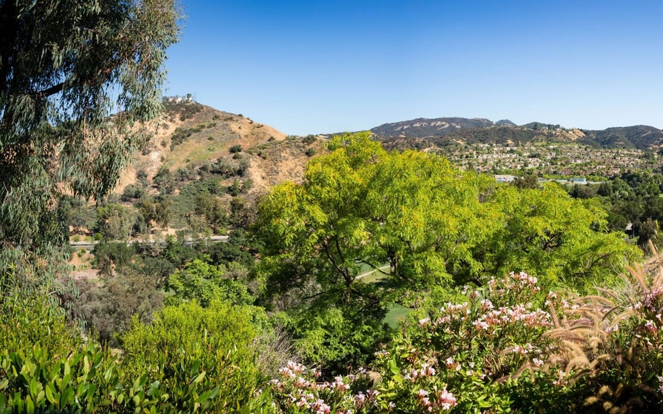Terilynn Medrano, FirstTeam Calabasas, Realtor in Calabasas, CA (3)