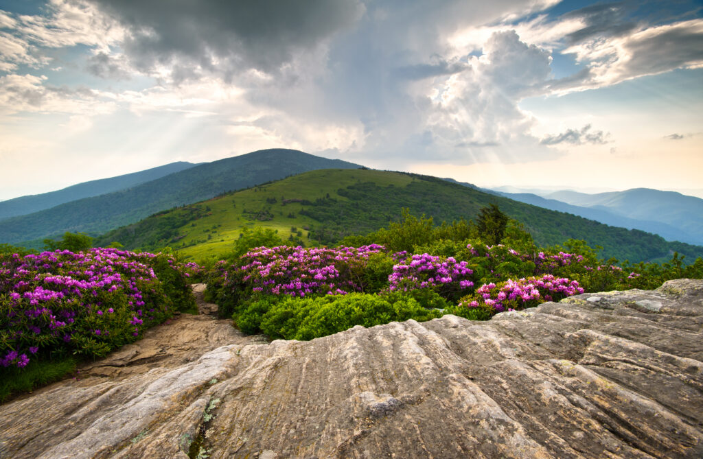 Mtn Realty in Micaville, NC (5)