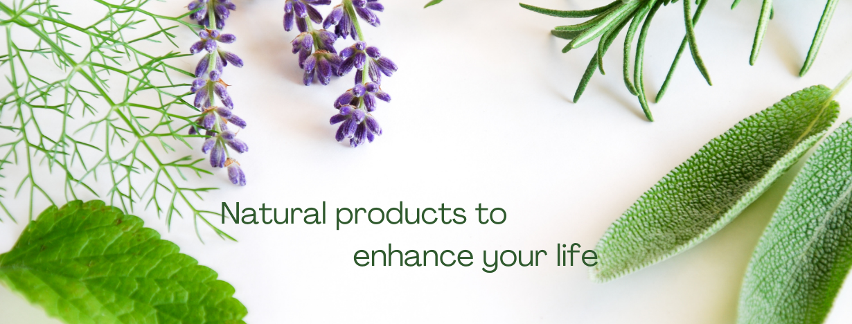 Alexis' Naturals in Hackensack, NJ (2)