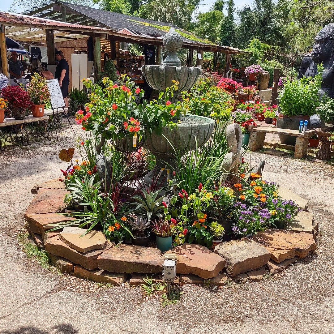 Maas Nursery inc. in Seabrook, TX (2)