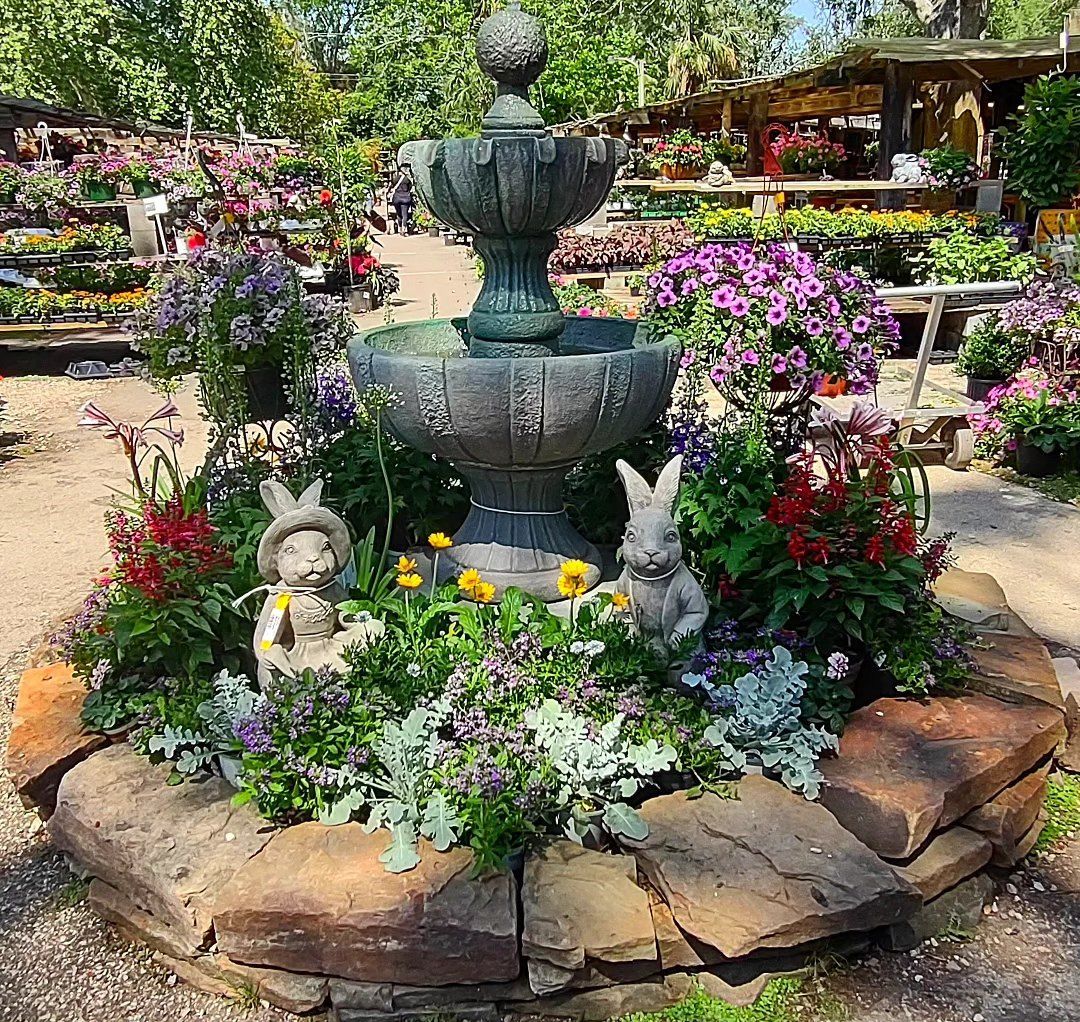 Maas Nursery inc. in Seabrook, TX (3)