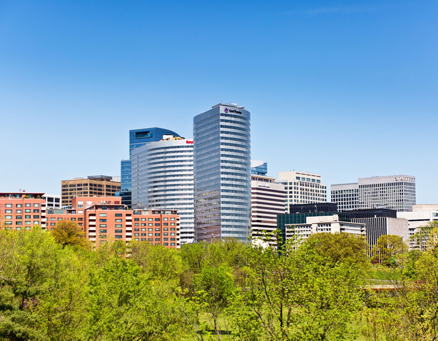 Lauryn Eadie - Reston Realtor in McLean, VA (3)