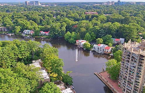 Lauryn Eadie - Reston Realtor in McLean, VA (6)