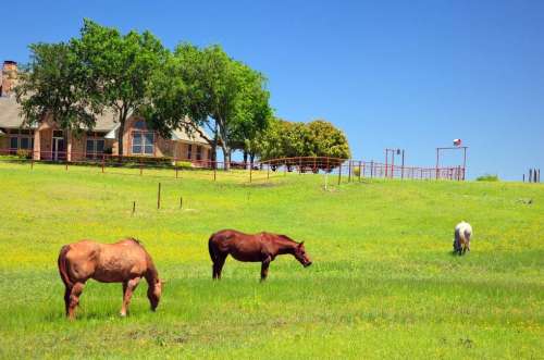 HOMES in North Texas Team, Sanger Tx Realtor in Sanger, TX (5)